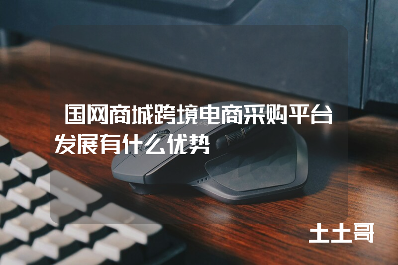 国网商城跨境电商采购平台发展有什么优势 国网商城跨境电商采购平台发展有什么优势
