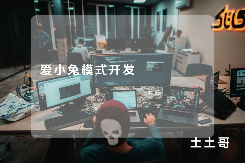 爱小兔模式开发 爱小兔模式开发
