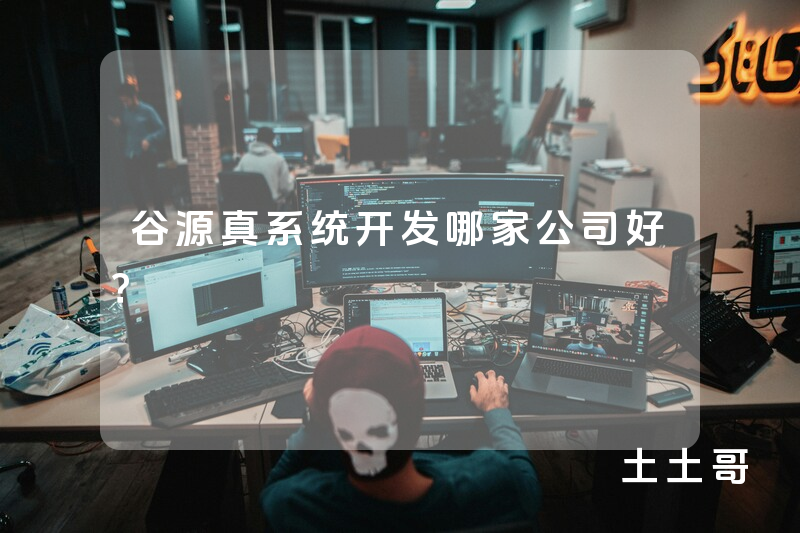 谷源真系统开发哪家公司好? 谷源真系统开发哪家公司好?