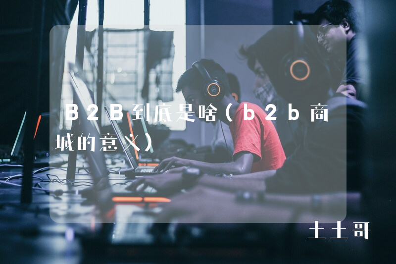 B2B到底是啥(b2b商城的意义) B2B到底是啥(b2b商城的意义)