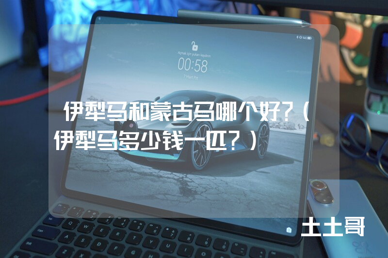 伊犁马和蒙古马哪个好?(伊犁马多少钱一匹?) 伊犁马和蒙古马哪个好?(伊犁马多少钱一匹?)