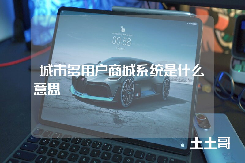 城市多用户商城系统是什么意思 城市多用户商城系统是什么意思