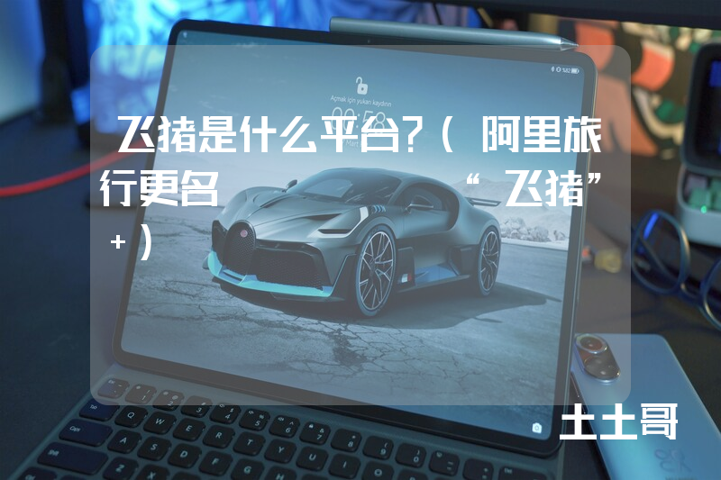 飞猪是什么平台?(阿里旅行更名feizhu“飞猪” ) 飞猪是什么平台?(阿里旅行更名feizhu“飞猪” )