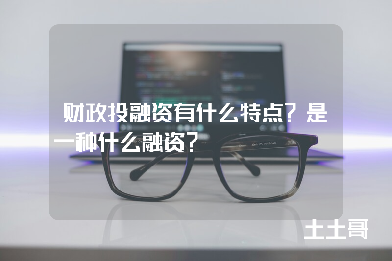 财政投融资有什么特点?是一种什么融资? 财政投融资有什么特点?是一种什么融资?