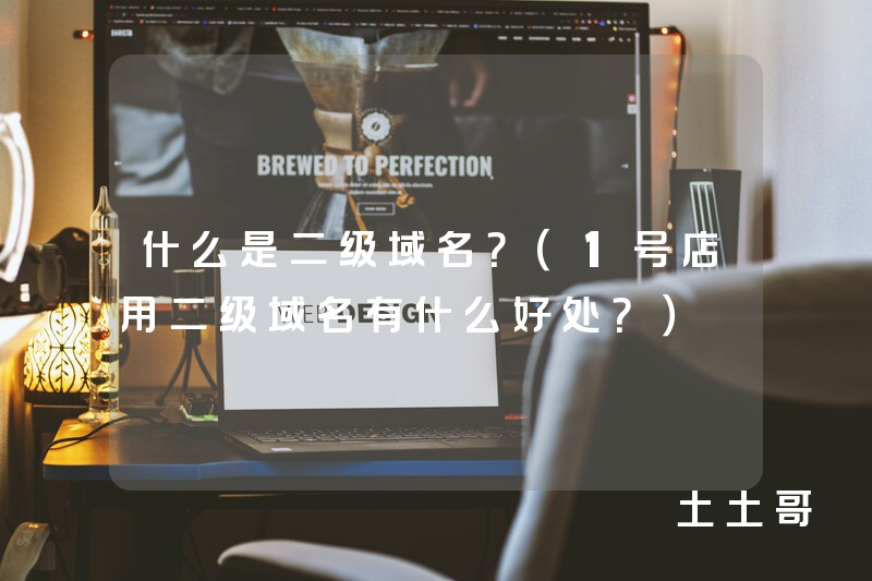 什么是二级域名?(1号店用二级域名有什么好处?) 什么是二级域名?(1号店用二级域名有什么好处?)