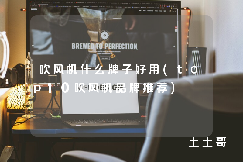 吹风机什么牌子好用(top10吹风机品牌推荐) 吹风机什么牌子好用(top10吹风机品牌推荐)