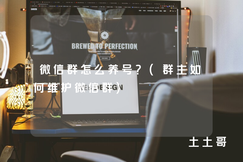 微信群怎么养号?(群主如何维护微信群) 微信群怎么养号?(群主如何维护微信群)