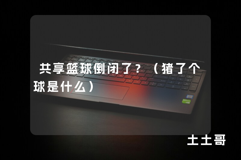 共享篮球倒闭了?(猪了个球是什么) 共享篮球倒闭了?(猪了个球是什么)