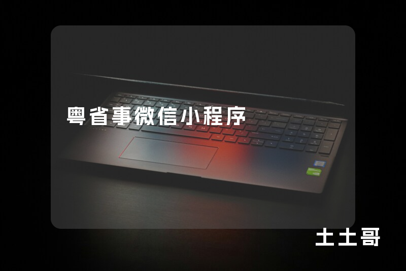 粤省事微信小程序 粤省事微信小程序