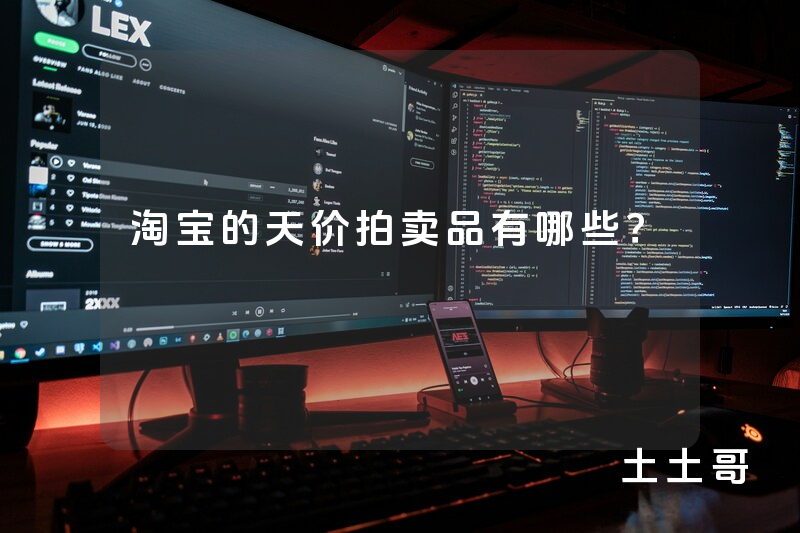淘宝的天价拍卖品有哪些? 淘宝的天价拍卖品有哪些?