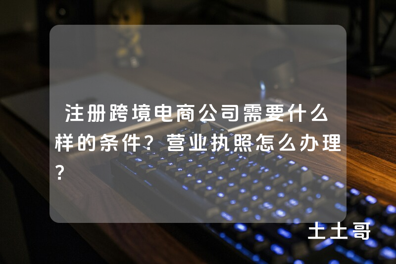 注册跨境电商公司需要什么样的条件?营业执照怎么办理? 注册跨境电商公司需要什么样的条件?营业执照怎么办理?