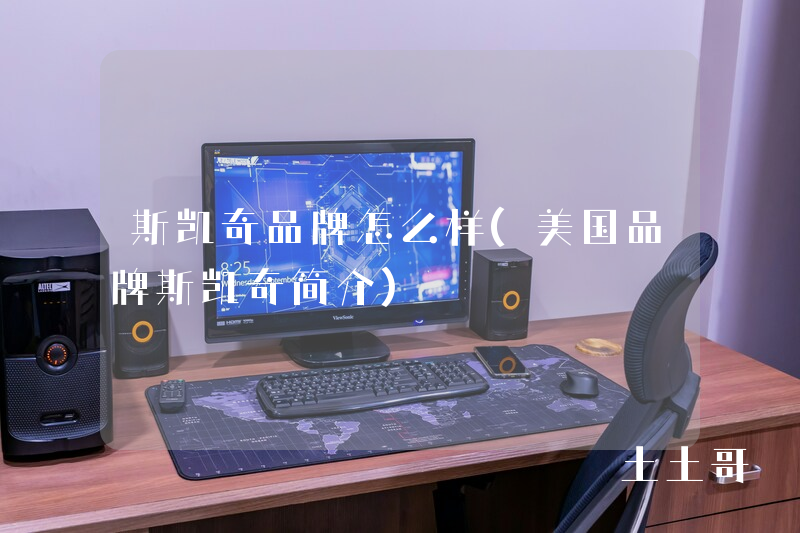 斯凯奇品牌怎么样(美国品牌斯凯奇简介) 斯凯奇品牌怎么样(美国品牌斯凯奇简介)