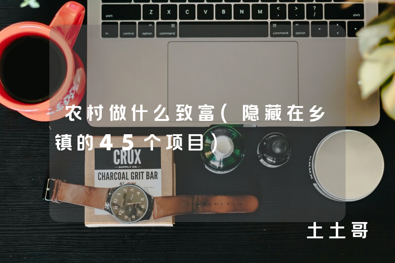 农村做什么致富(隐藏在乡镇的45个项目) 农村做什么致富(隐藏在乡镇的45个项目)