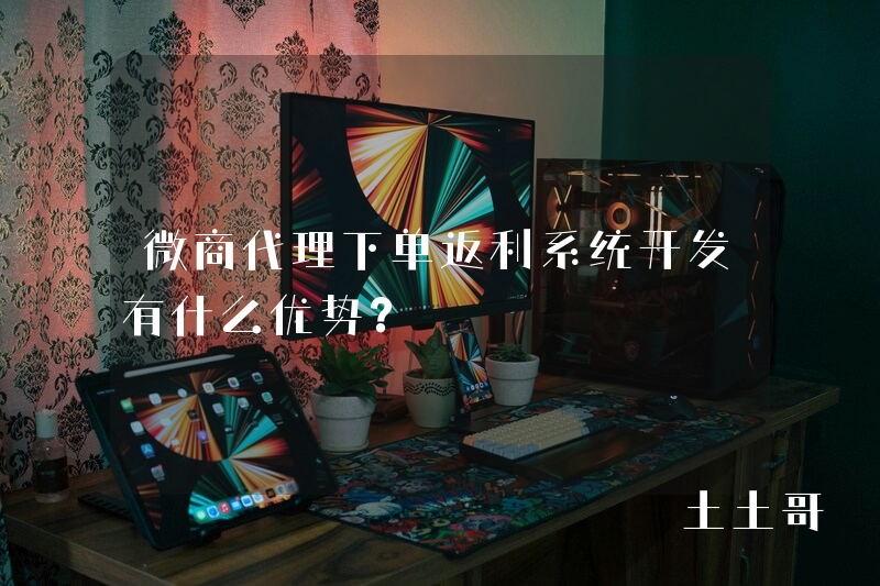 微商代理下单返利系统开发有什么优势? 微商代理下单返利系统开发有什么优势?