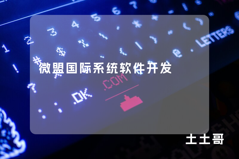 微盟国际系统软件开发
