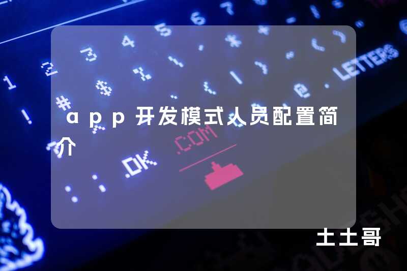 app开发模式人员配置简介