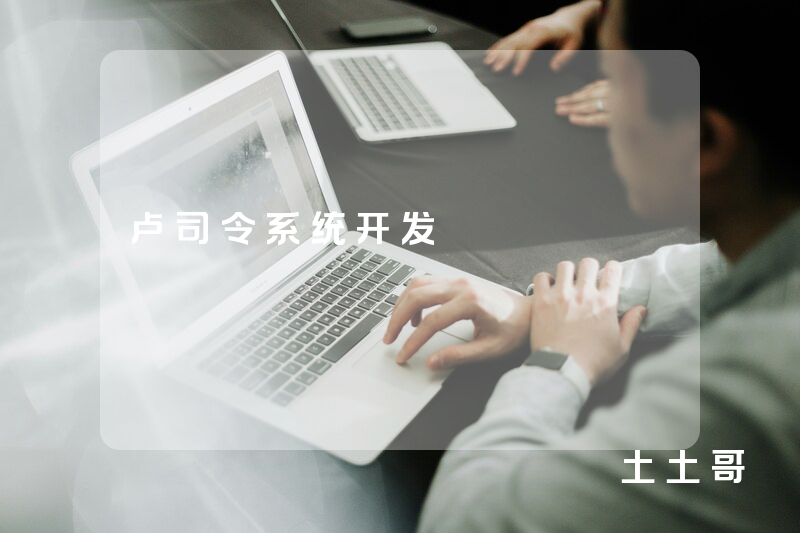 卢司令系统开发