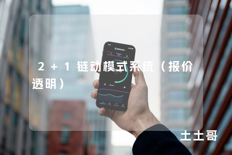 2+1链动模式系统（报价透明）