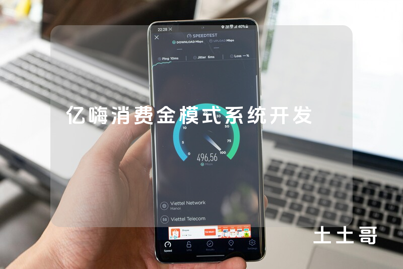 亿嗨消费金模式系统开发