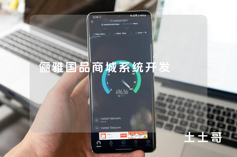 俪雅国品商城系统开发