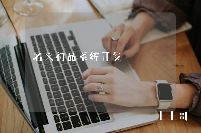 名义初品系统开发