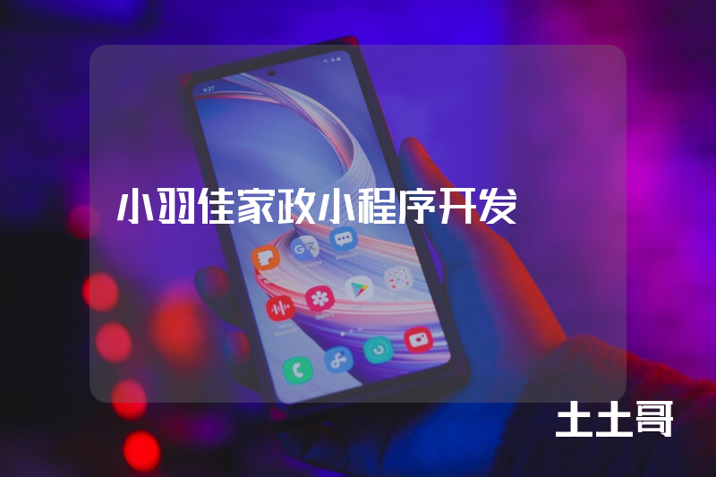 小羽佳家政小程序开发