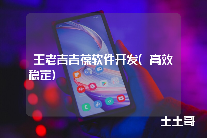 王老吉吉葆软件开发（高效稳定）