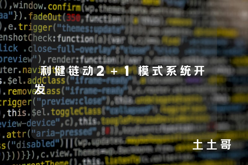 利健链动2+1模式系统开发