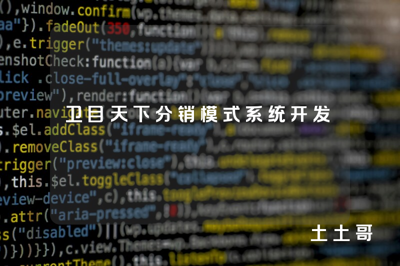 卫目天下分销模式系统开发