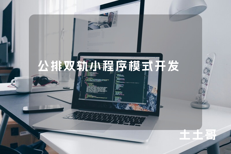 公排双轨小程序模式开发