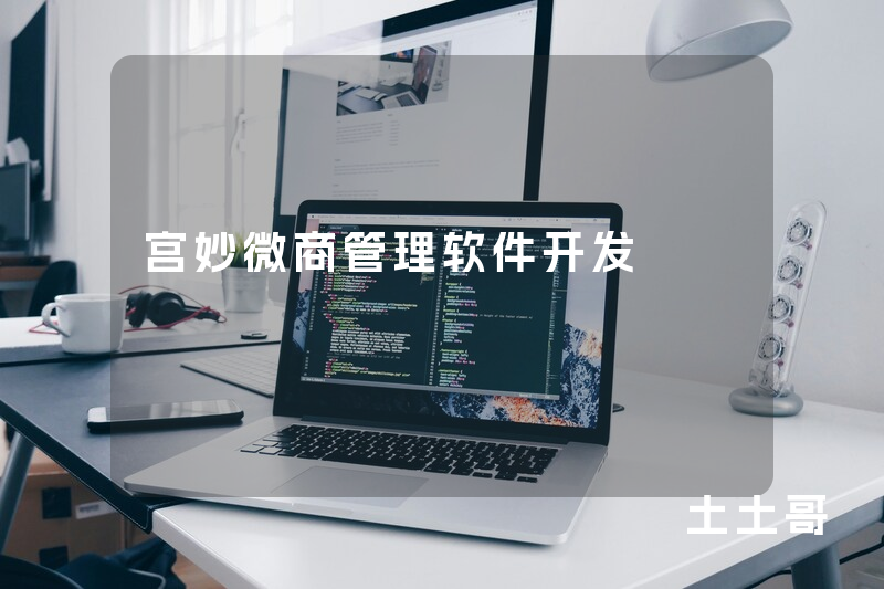 宫妙微商管理软件开发