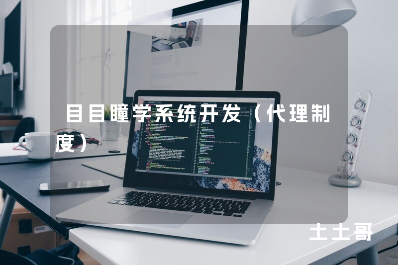 目目瞳学系统开发（代理制度）