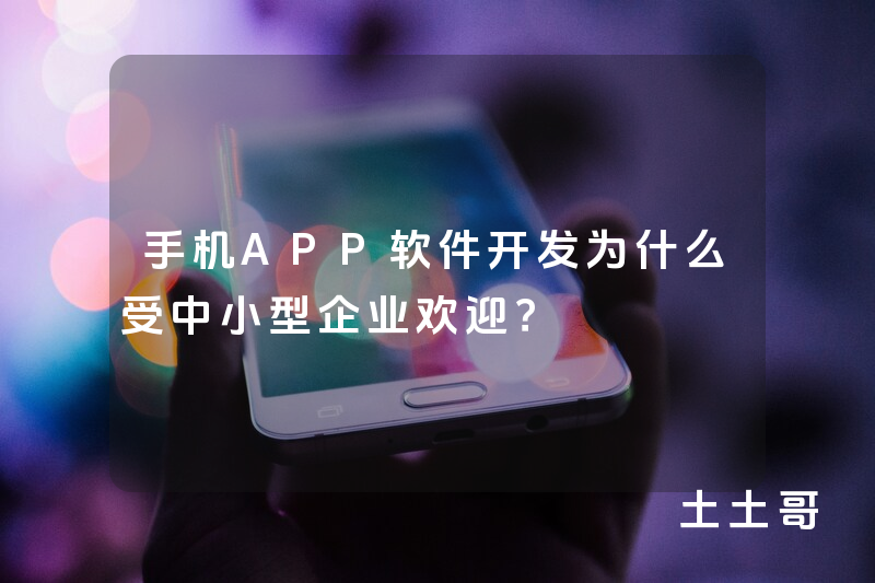 手机APP软件开发为什么受中小型企业欢迎？