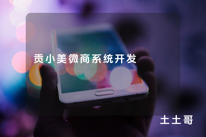 贡小美微商系统开发