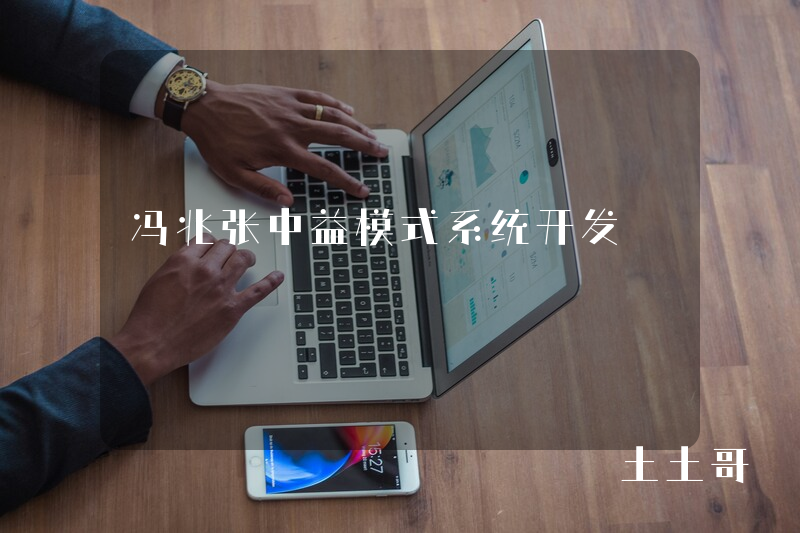 冯兆张中益模式系统开发