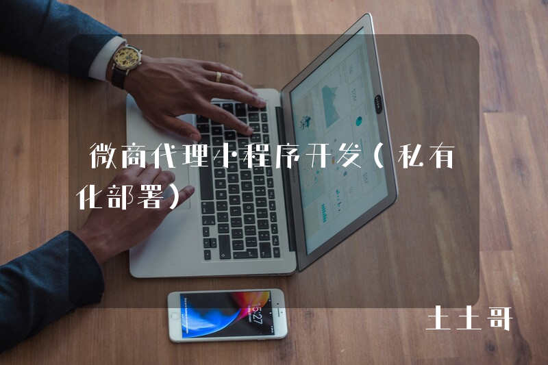 微商代理小程序开发（私有化部署）