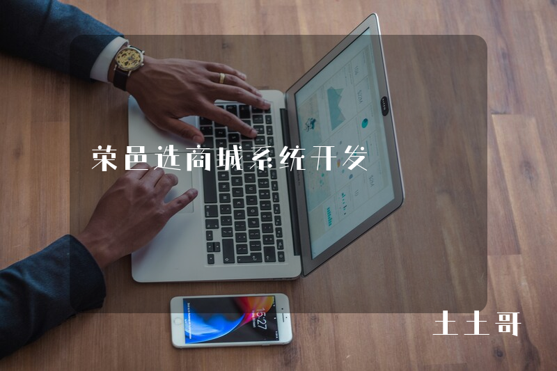 荣邑选商城系统开发