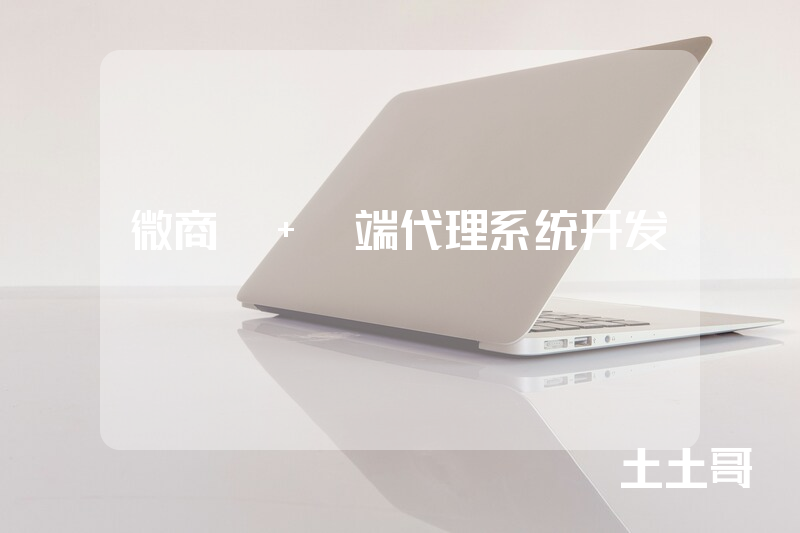 微商B+C端代理系统开发