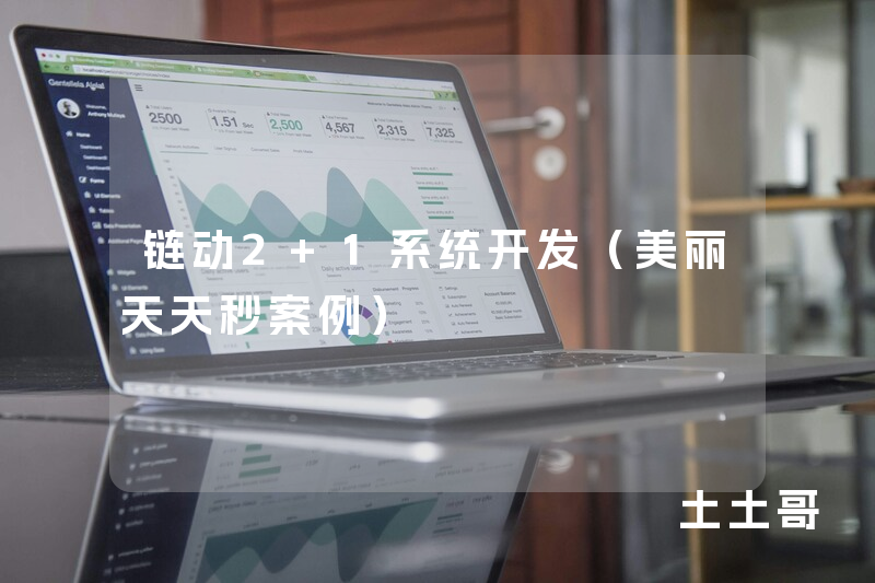 链动2+1系统开发（美丽天天秒案例）