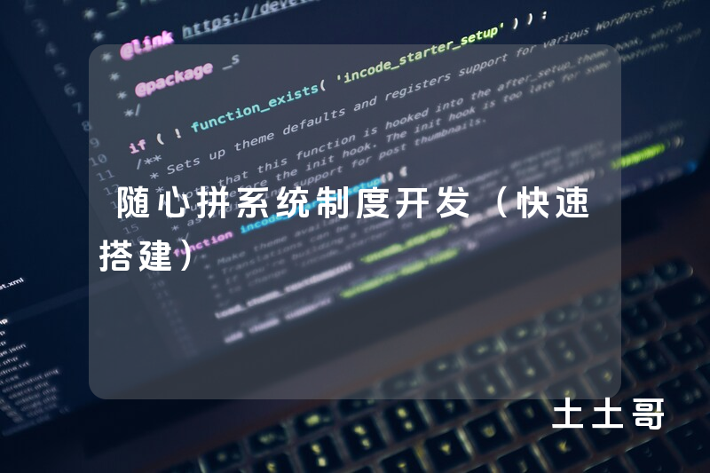 随心拼系统制度开发（快速搭建）