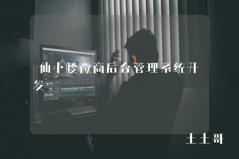 仙小腰微商后台管理系统开发