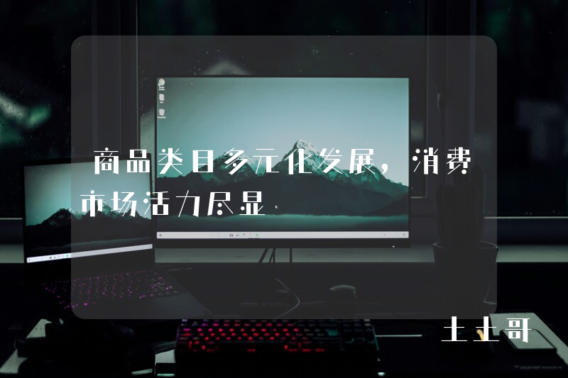 商品类目多元化发展,消费市场活力尽显 商品类目多元化发展,消费市场活力尽显