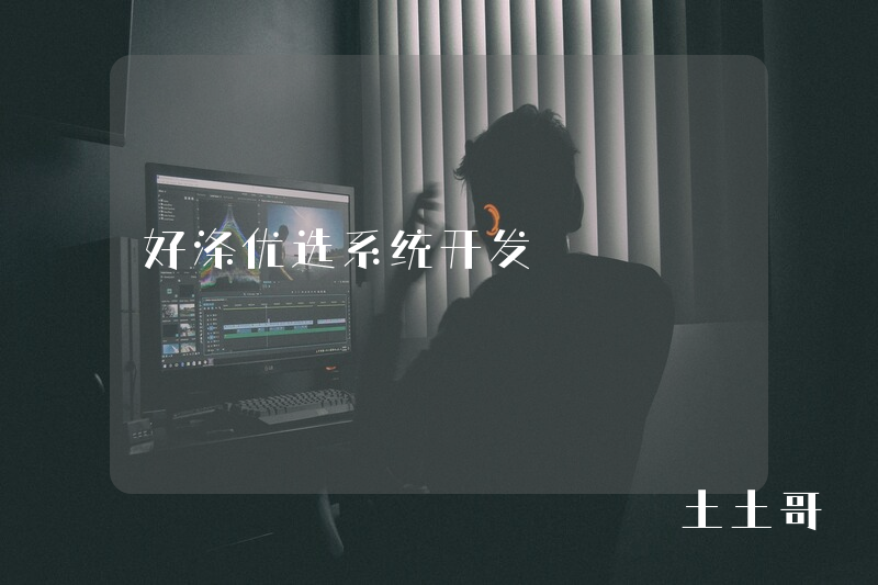 好涤优选系统开发