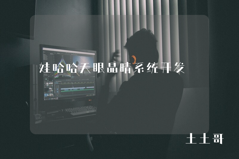 娃哈哈天眼晶晴系统开发