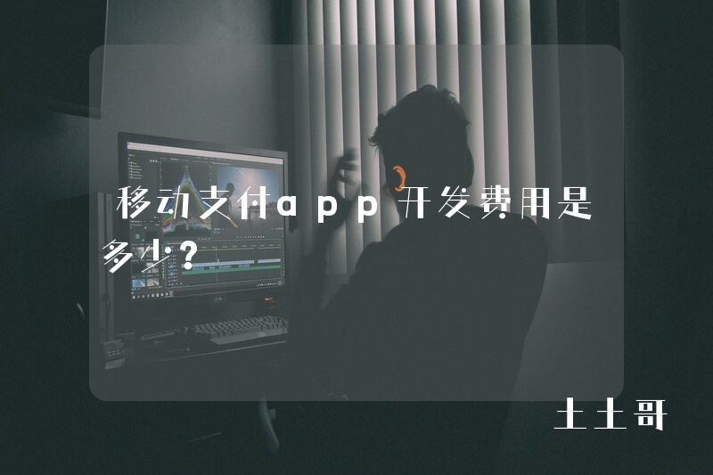 移动支付app开发费用是多少？