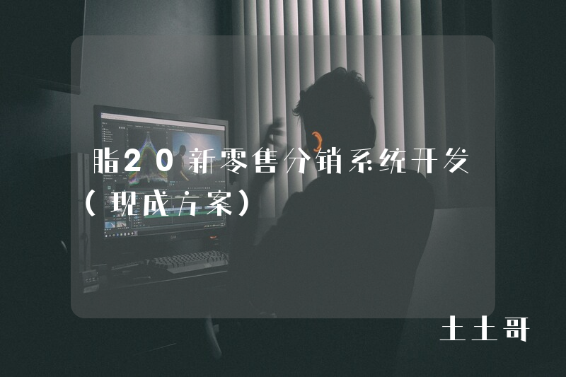 脂20新零售分销系统开发（现成方案）
