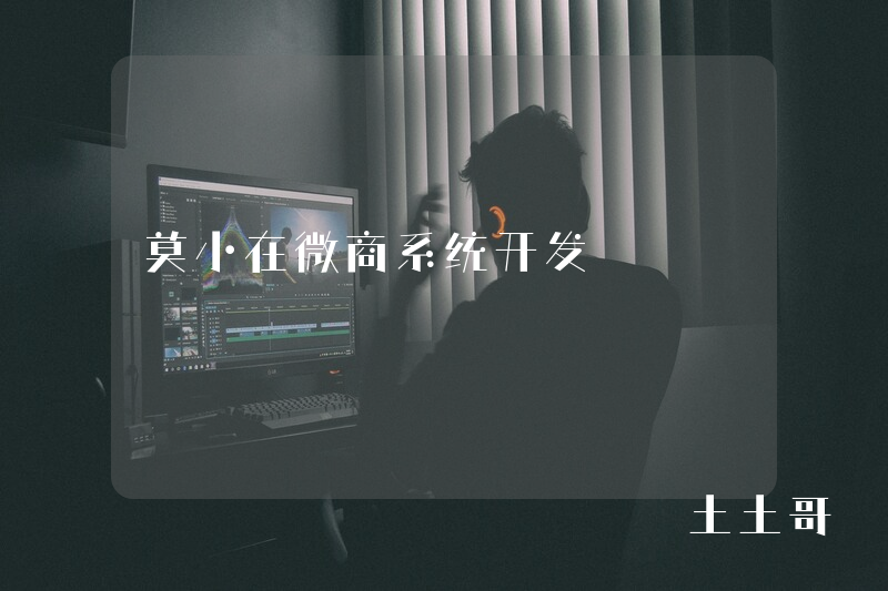 莫小在微商系统开发