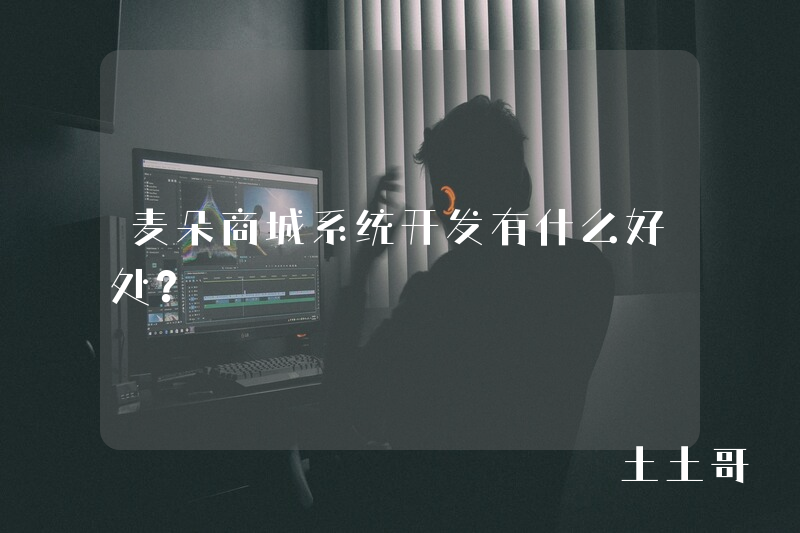 麦朵商城系统开发有什么好处？