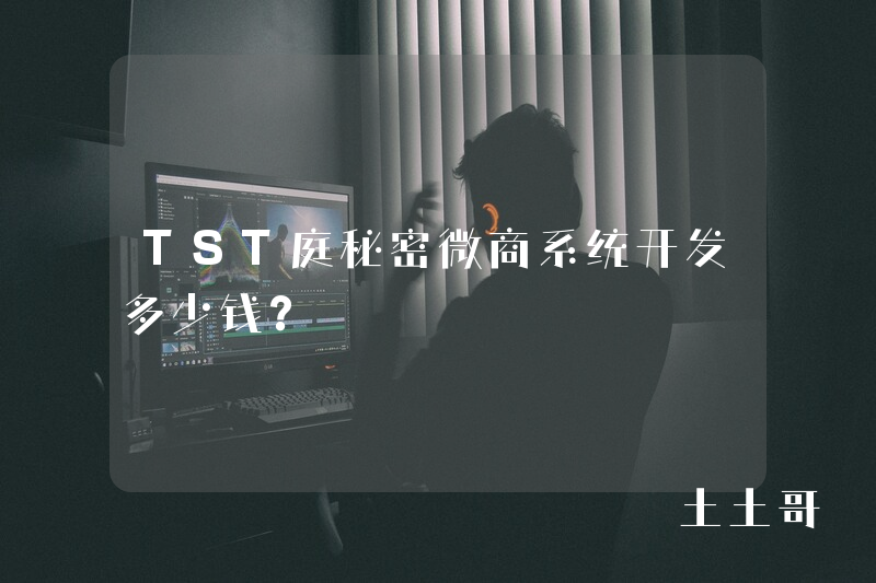 TST庭秘密微商系统开发多少钱？