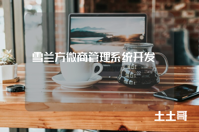 雪兰方微商管理系统开发